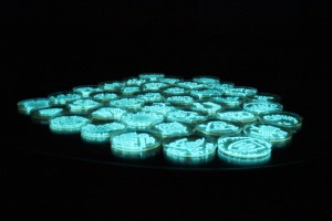 Petri dishes “painted” with living bioluminescent Photobacte