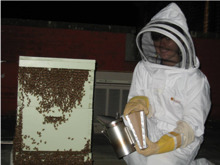 Our lab studies both honeybees (Apis mellifera) and the west