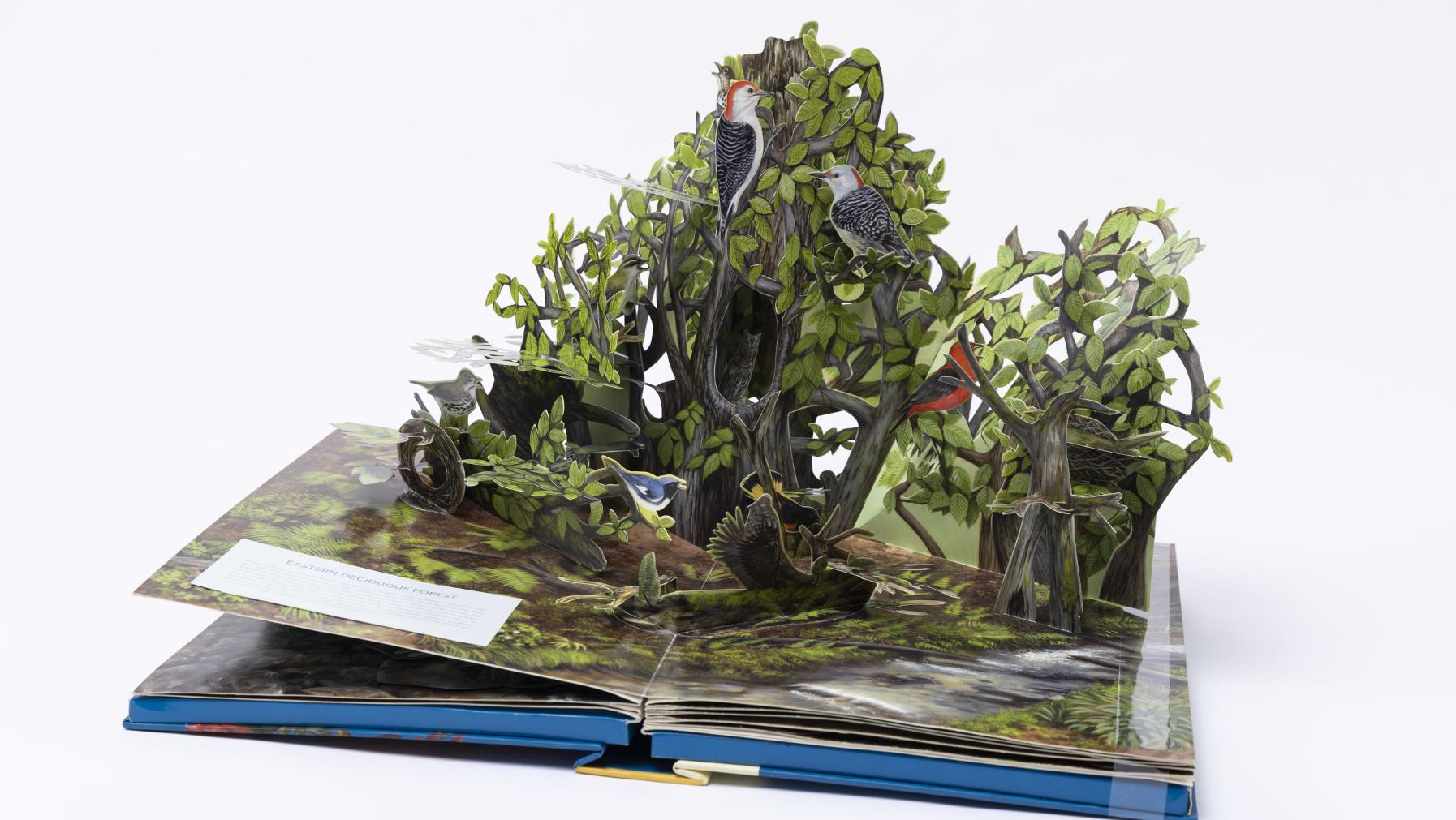 A pop-up book showing dense foliage inhabited by various birds from Birdscape.