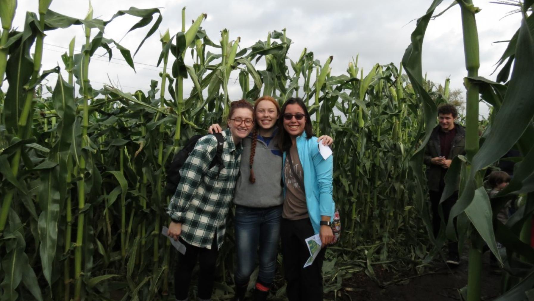A group of people standing together in a cornfield.