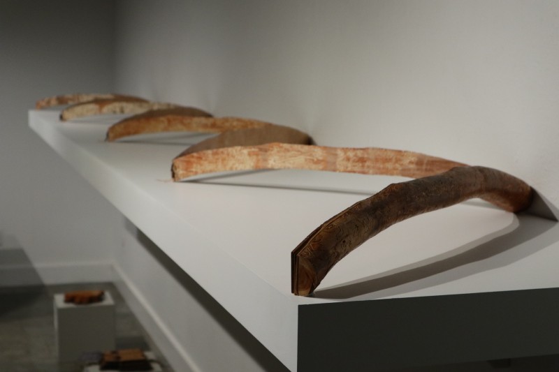 Kittredge Gallery University of Puget Sound