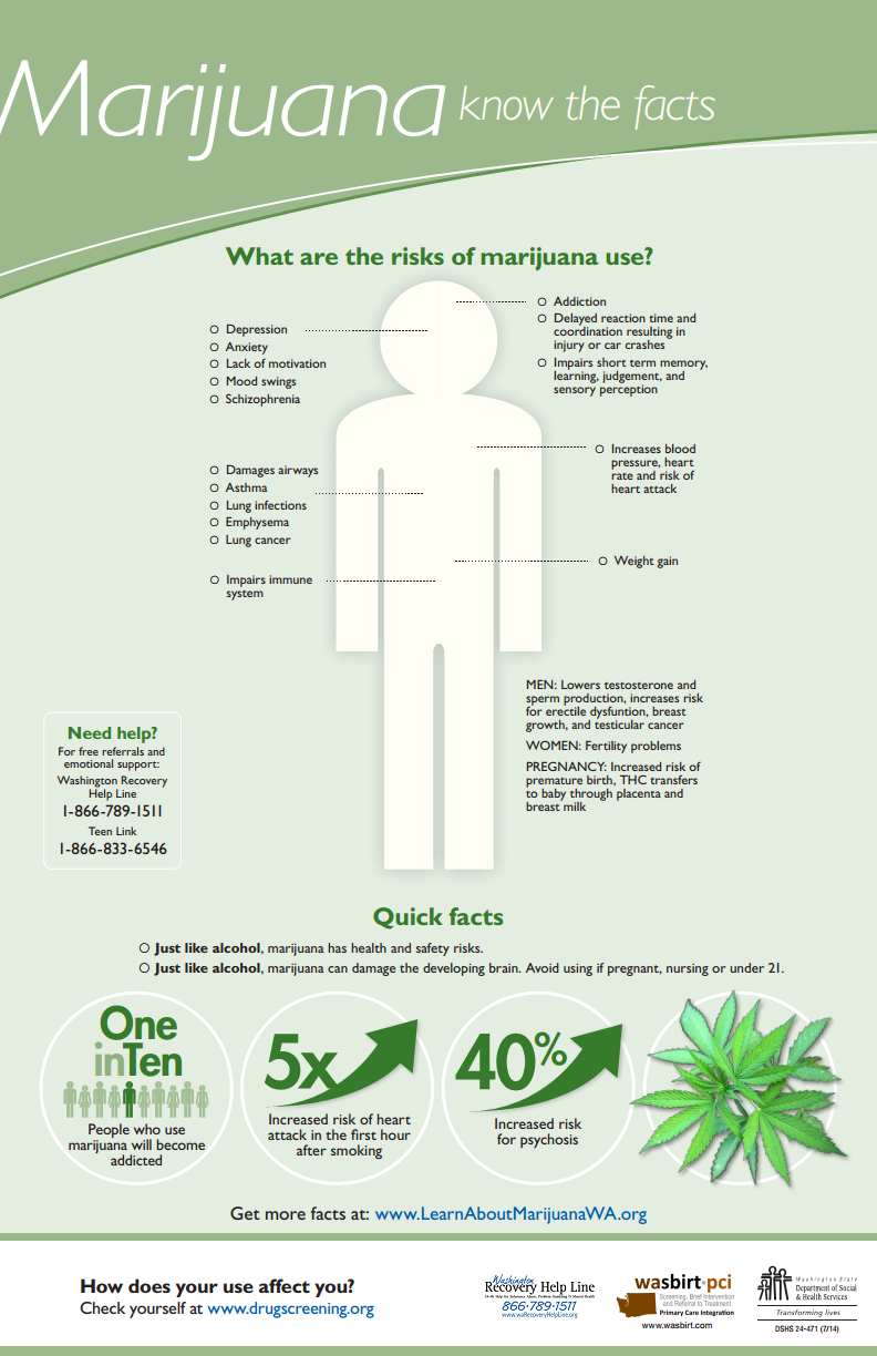 Marijuana You University Of Puget Sound