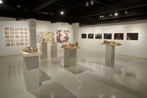 Artworks on display in a gallery space
