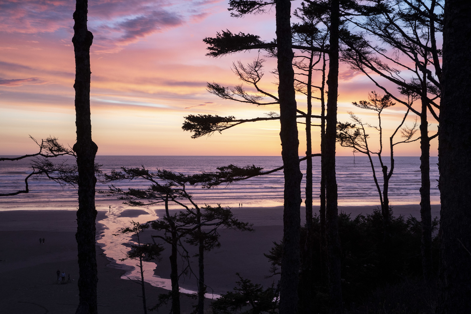 View of the beach in a pink and purple sunset