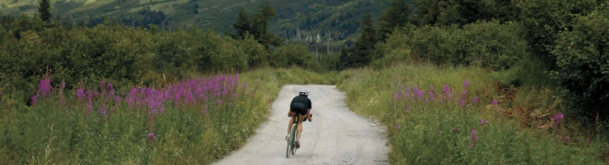 Person riding a bike on beautiful mountain path surrounded by wildflowers
