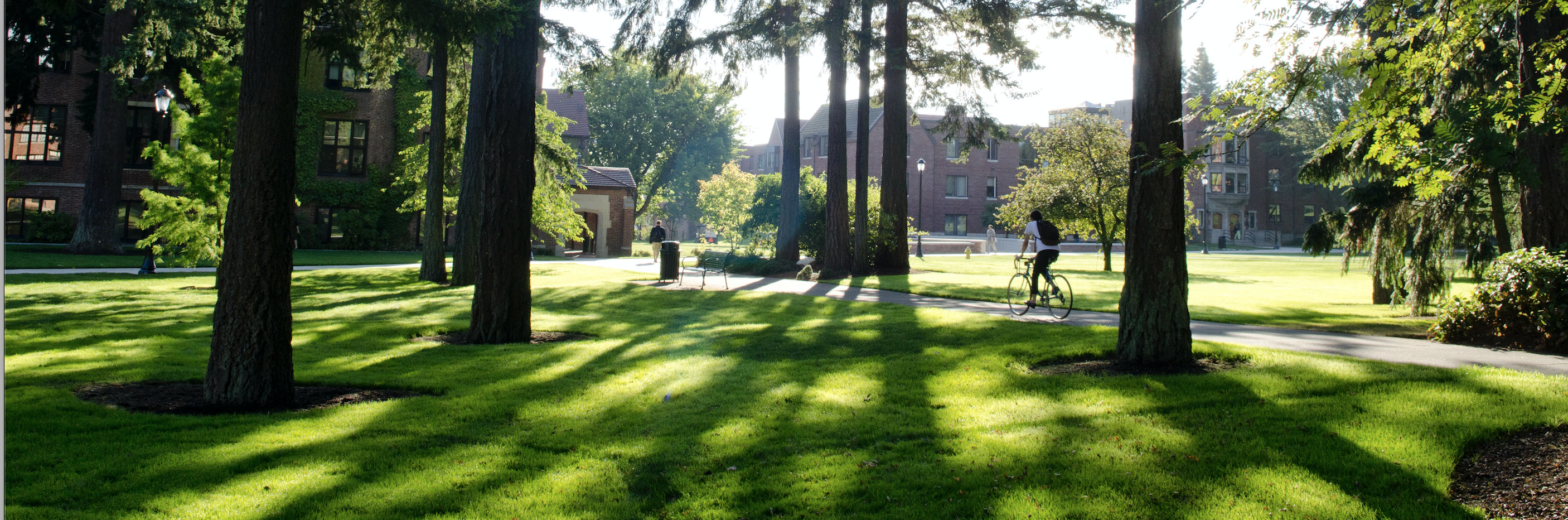 People walking among campus trees