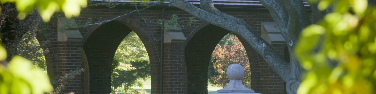 Brick building arches