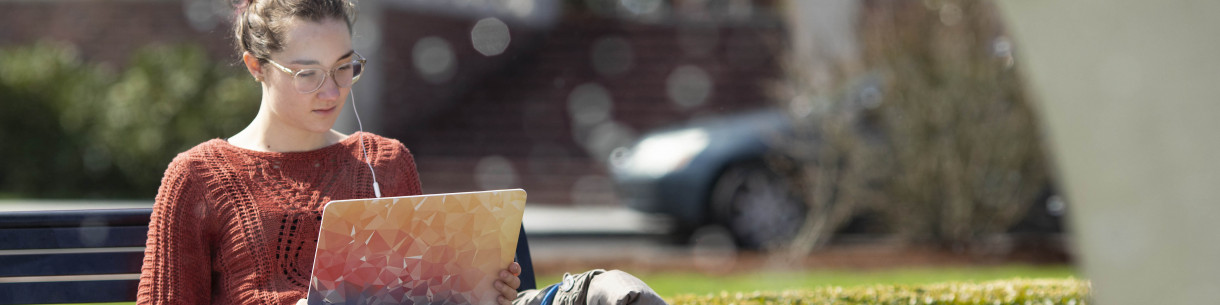 Person with laptop sitting on a park bench