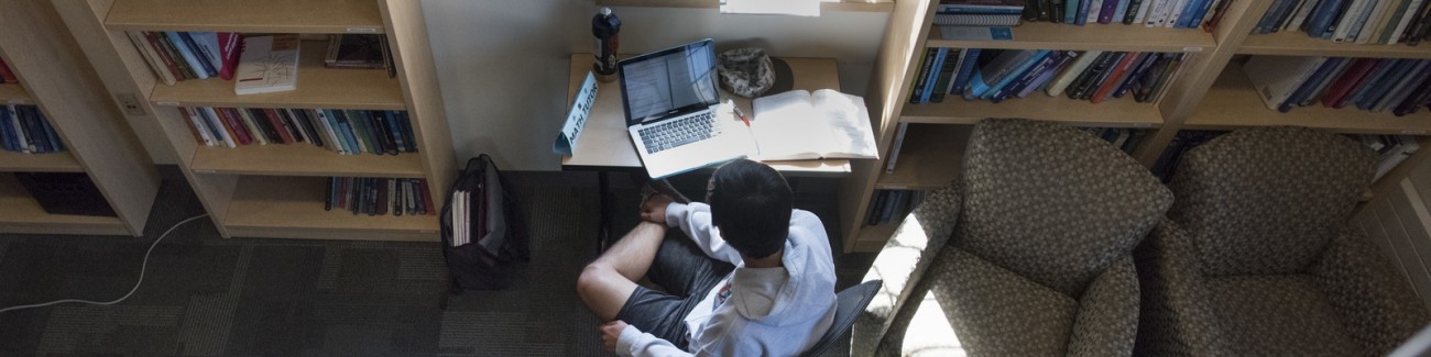 A bird's eye view of a person working on a laptop