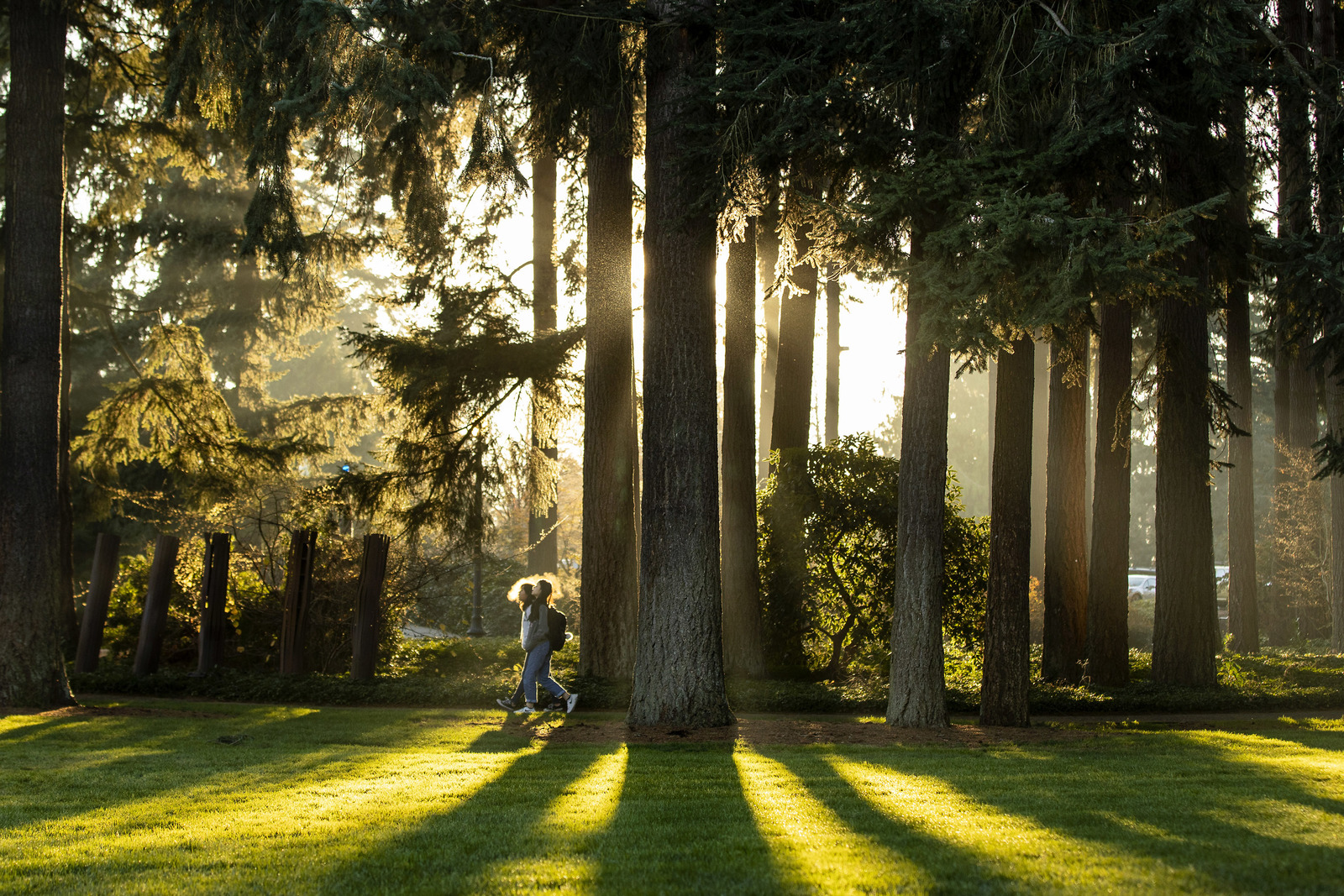 Crisp sun on campus.