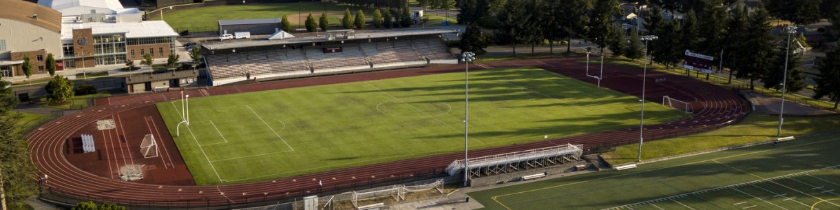 soccer pitch