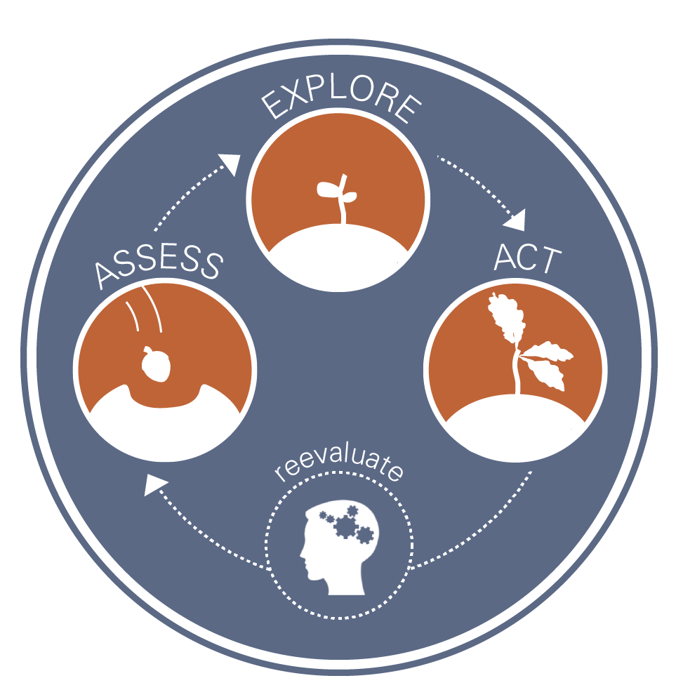 Circular badge shows full circular cycle of Assessment, Exploration, Action, and Reassessment