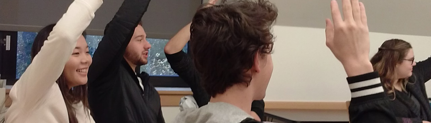 Students raising hands in class