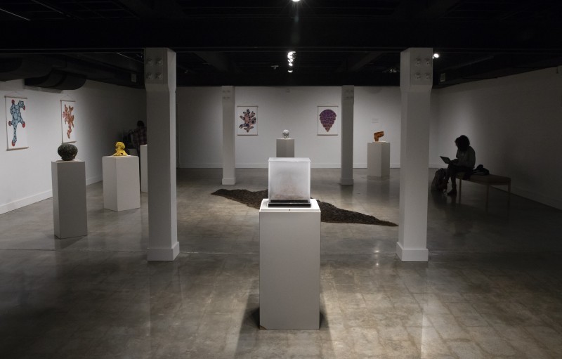 Terra et Sonus gallery installations