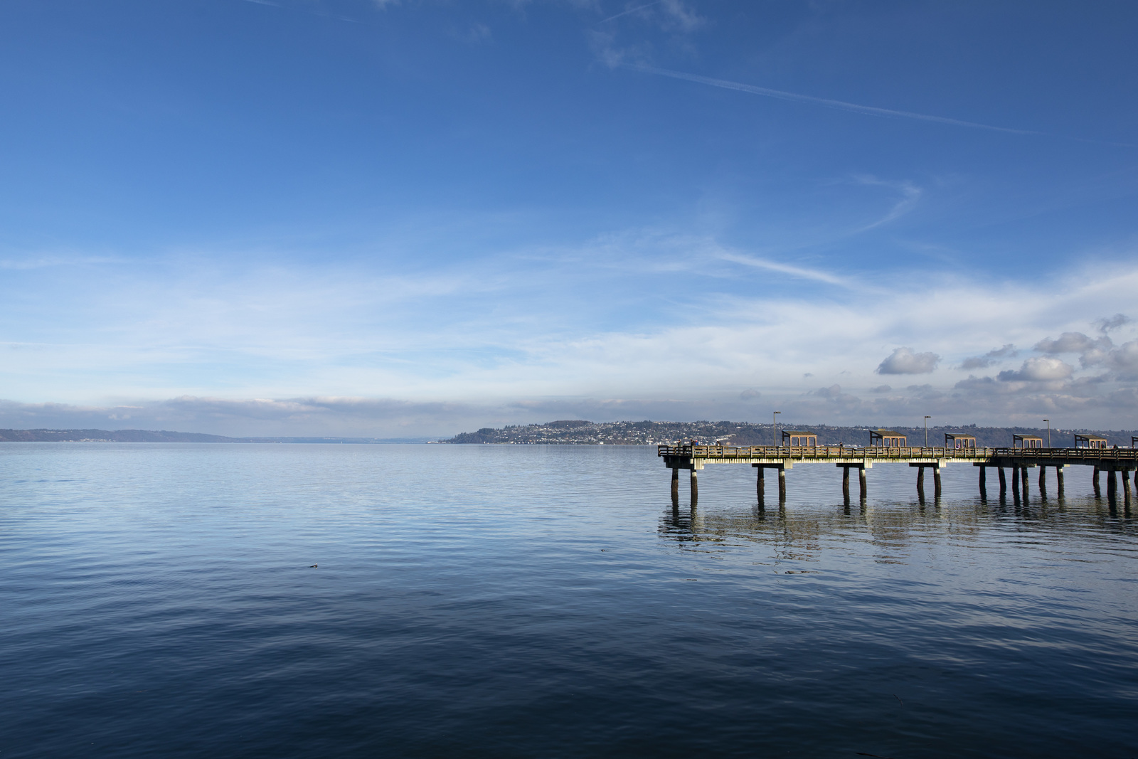 Dock in the water