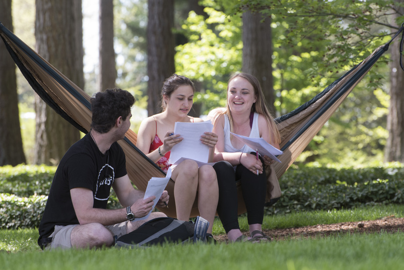 Students studying outside on campus