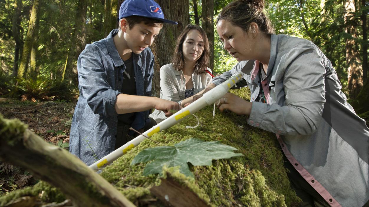 Students doing field research with Professor Carrie Woods