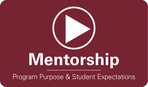 Mentorship vimeo