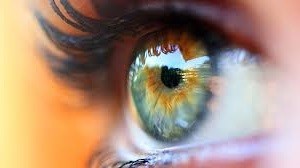 Close up detail of a human eye