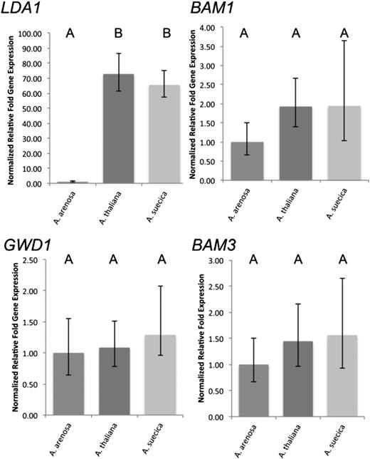 Major starch metabolism genes are expressed at the high progenitor level or are similar in all species.