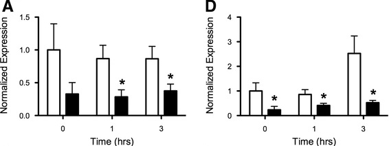 qPCR analysis of differentially expressed JA biosynthetic genes.