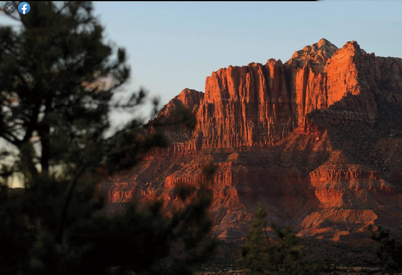 Zion National Park by Sy Bean