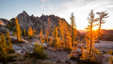 Mountain range and fall color trees