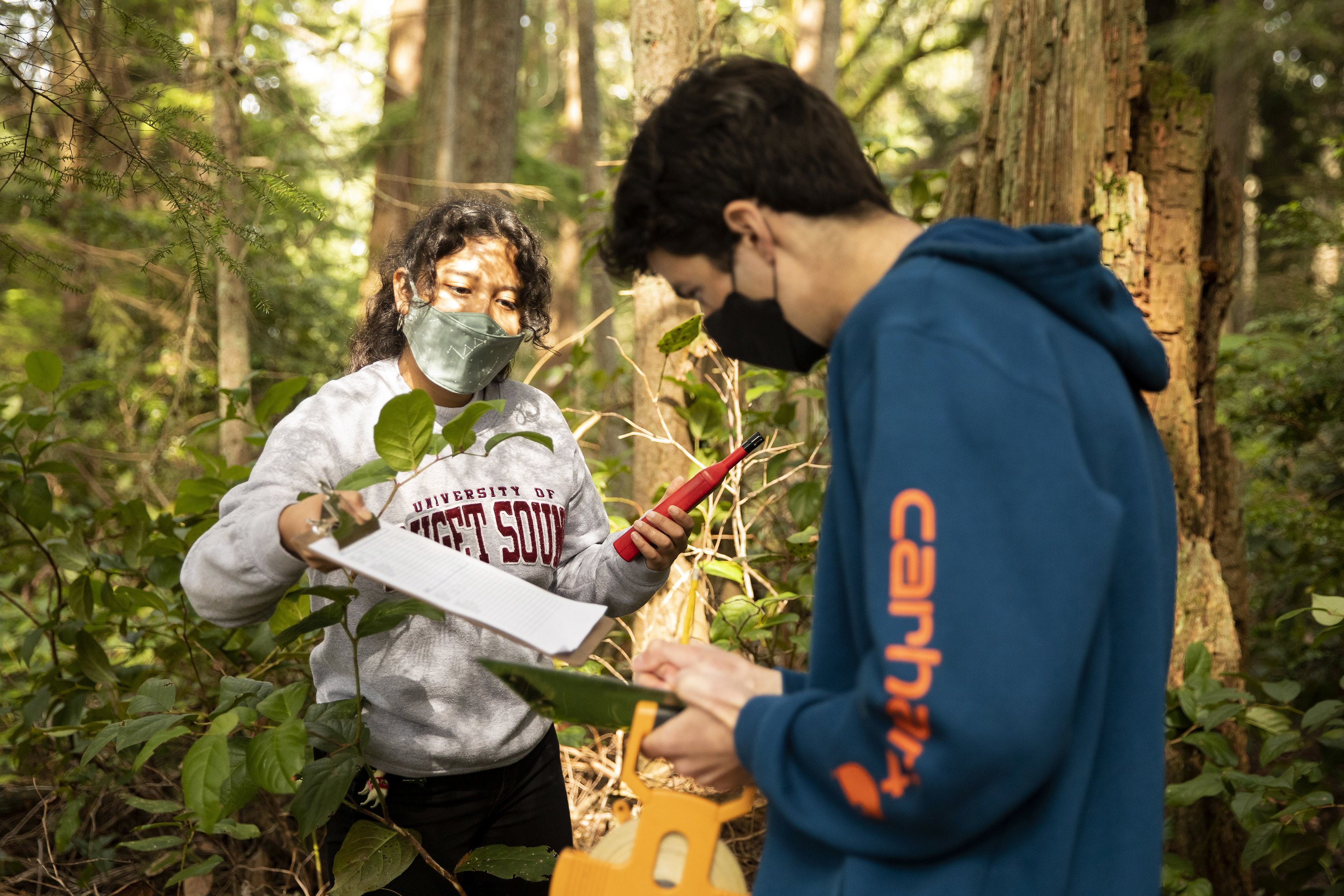 Students doing research in the forest.