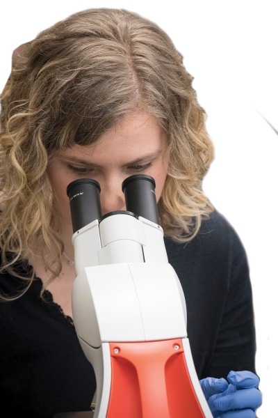 Student using a microscope