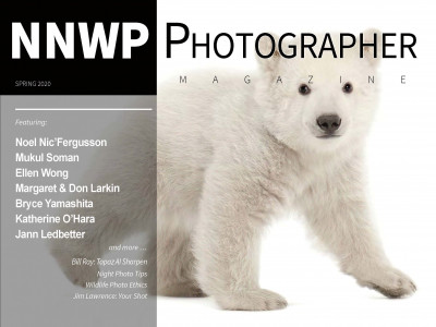 Polar bear photo by Dan Clements ’71, P’07