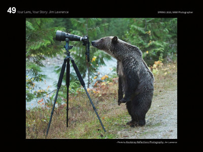Photo of a bear looking at a telescope by Dan Clements ’71, P’07