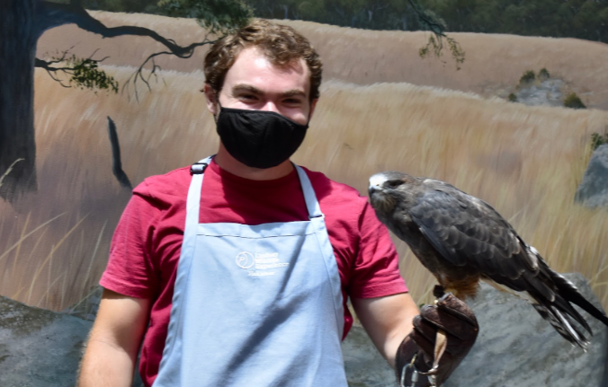 Student Colby Smith wearing a raptor glove with a raptor perched on his arm.