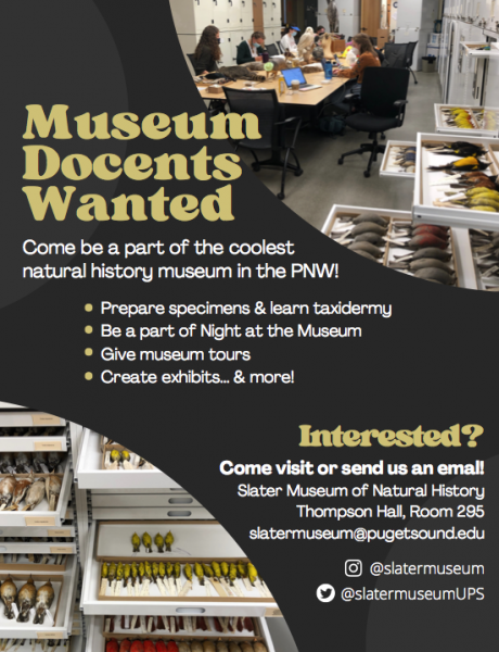 Museum Docents Wanted