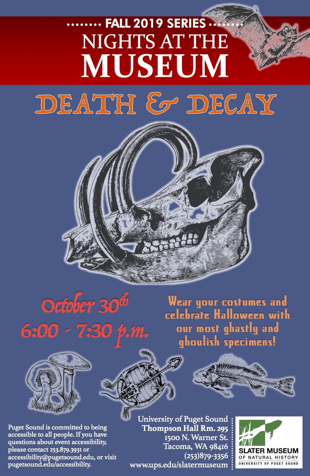 Night at the Museum Death & Decay event poster