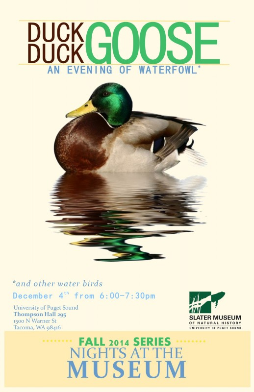 Duck Duck Goose event poster