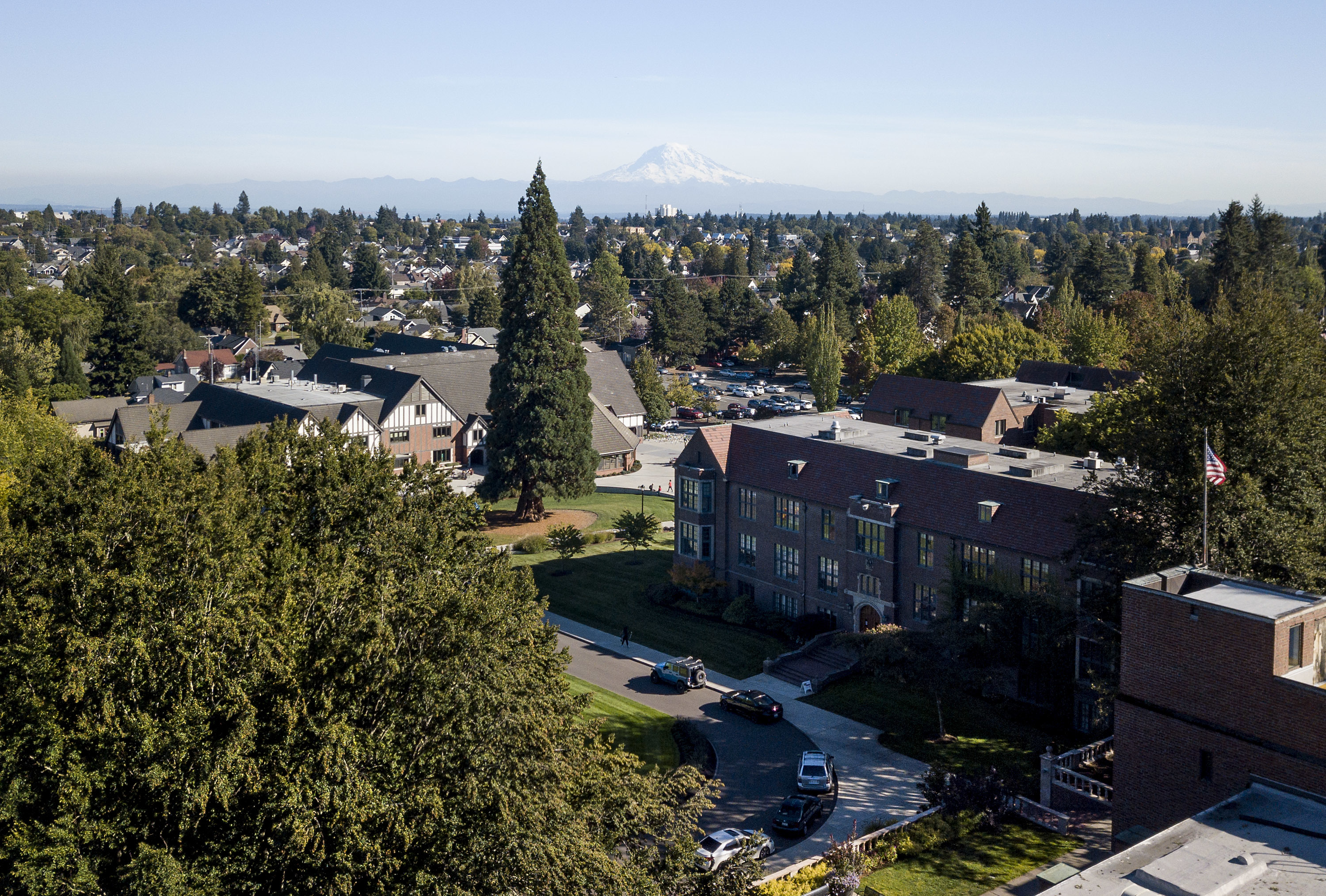 Campus seen from the air, with the giant sequoia in the foreground and Mount Rainier in the distance.