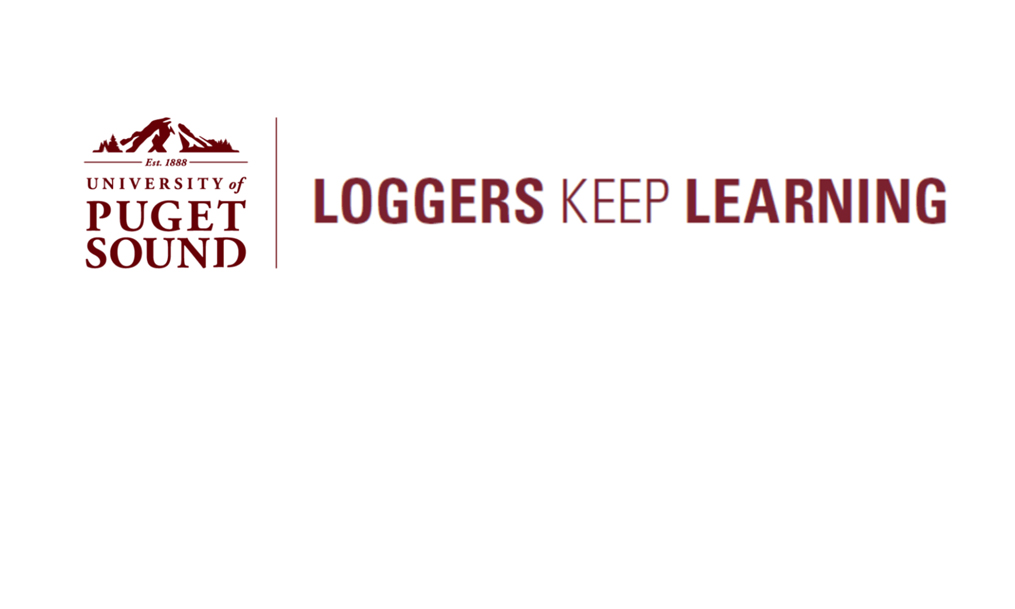 Loggers Keep Learning