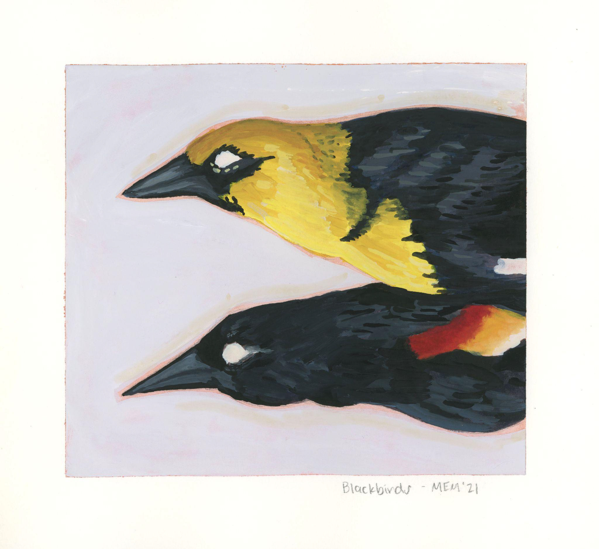 Mayfield Blackbirds