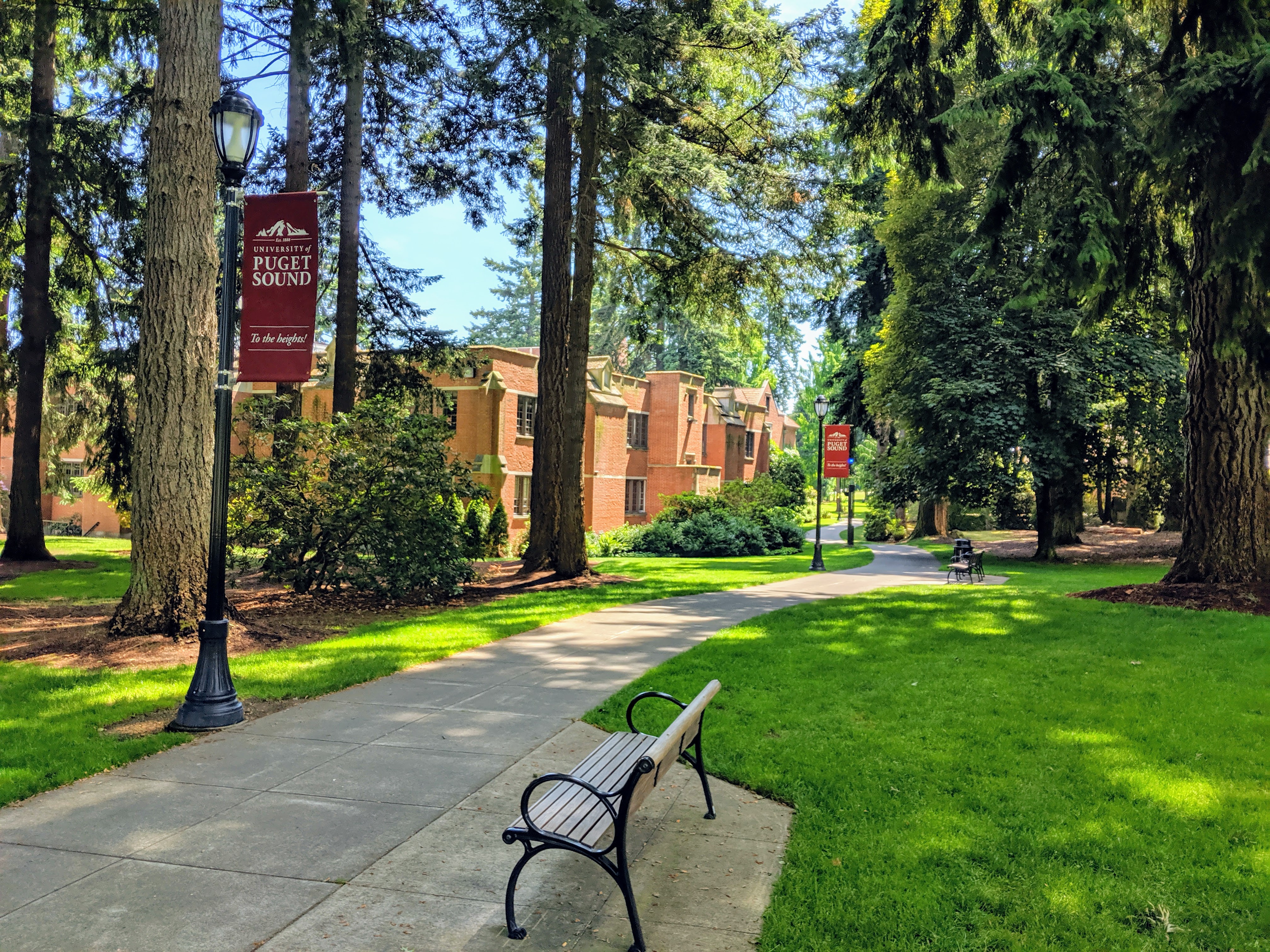 Collins library