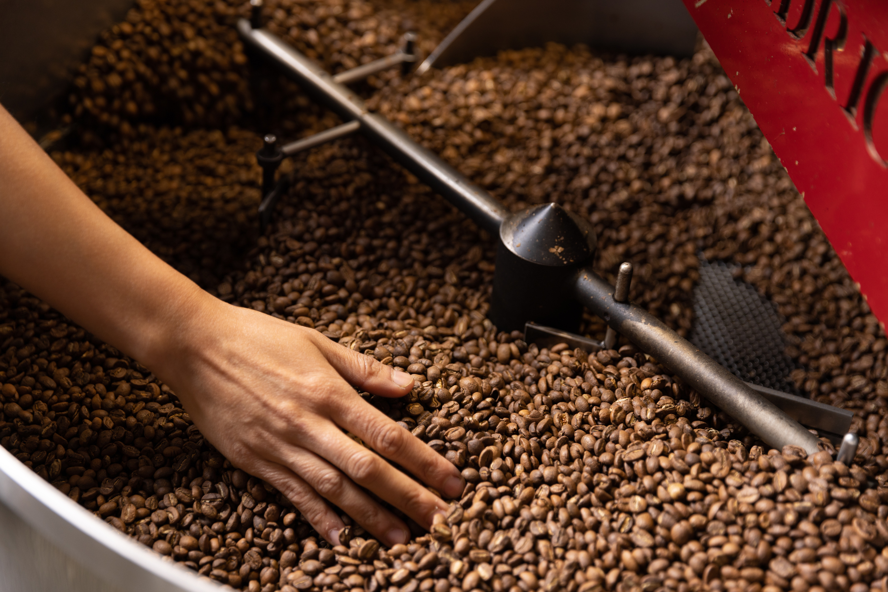 A hand reaches into a pile of roasted coffee beans.