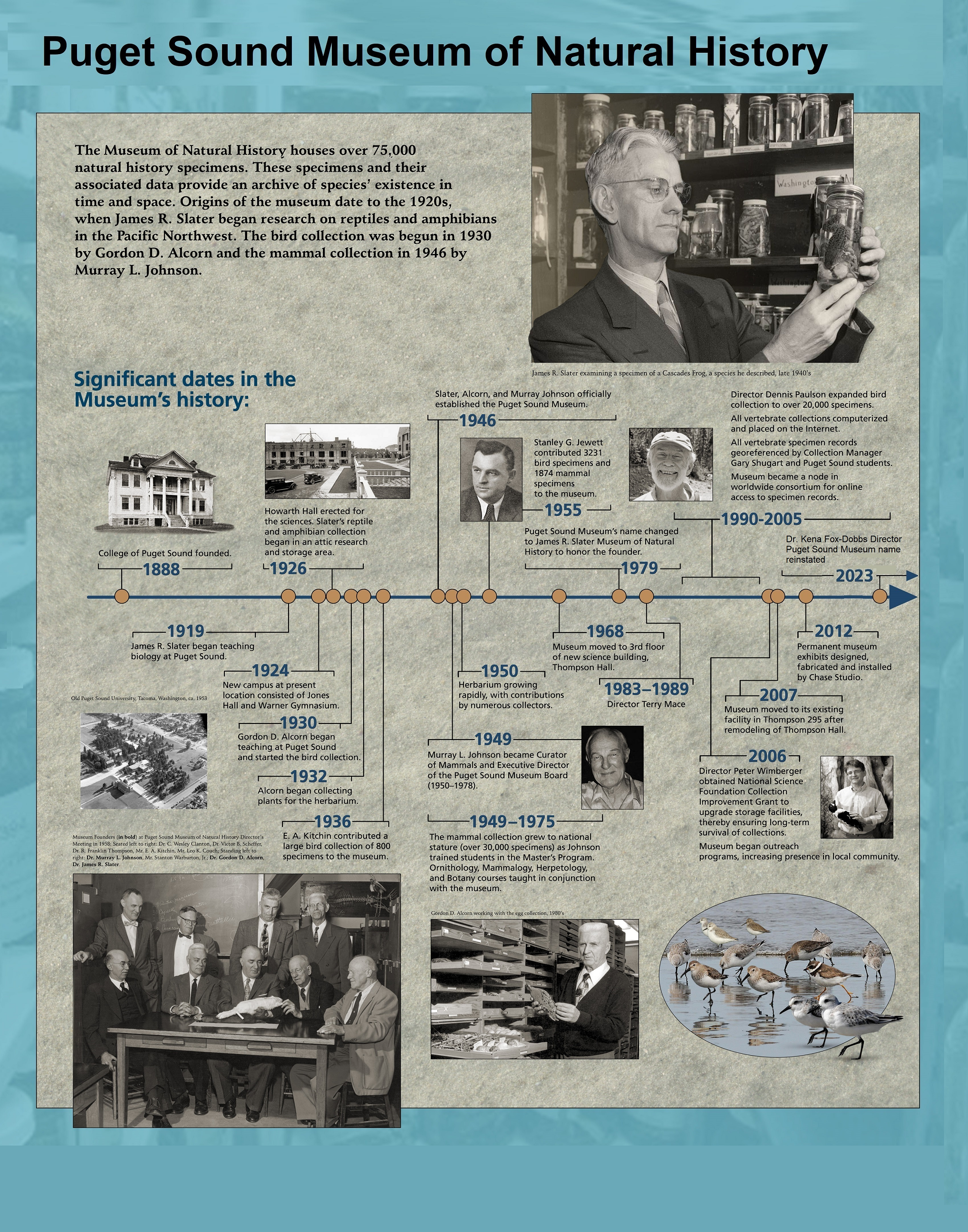 Puget Sound Museum Timeline