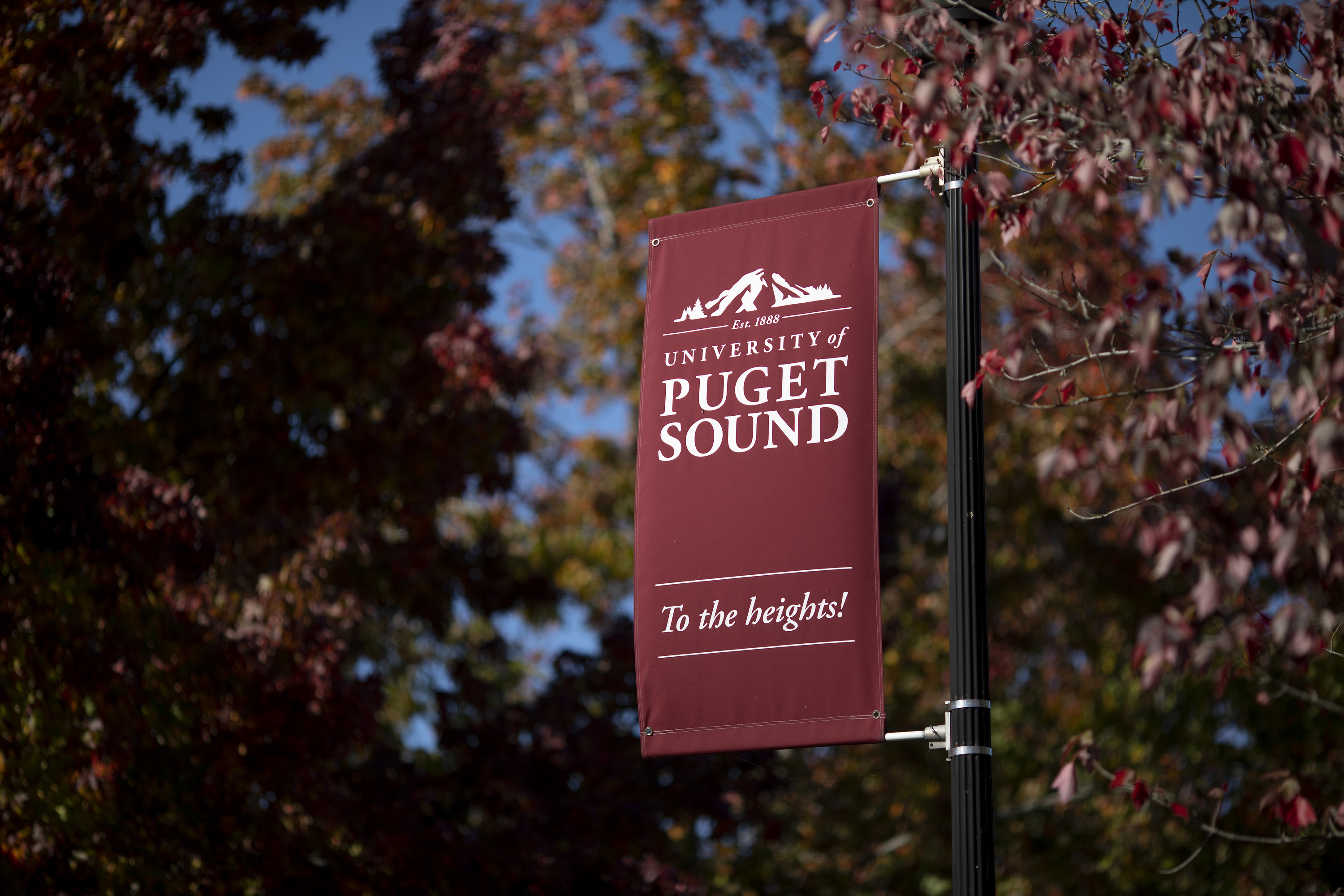 A maroon banner hangs vertically in front of red leaves with the words "University of Puget Sound, To the heights!" displayed. 