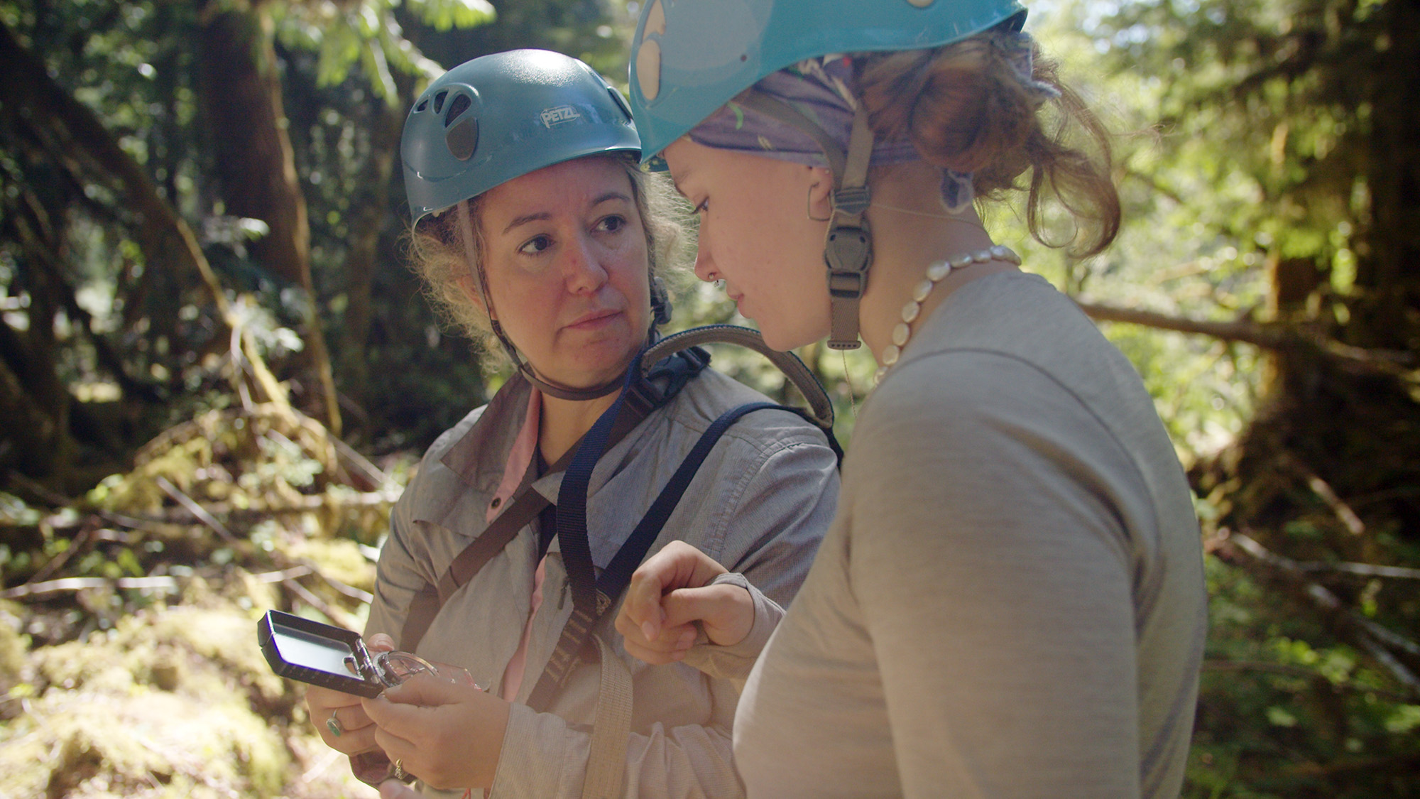 Associate Professor of Biology Carrie Woods.