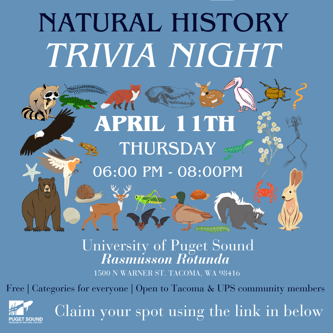 natural museum trivia night