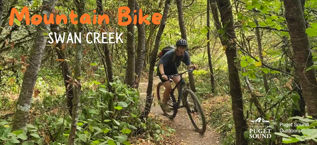 Swan Creek