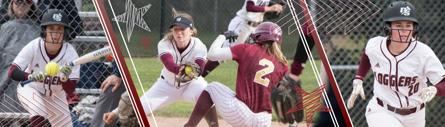 softball banner 1