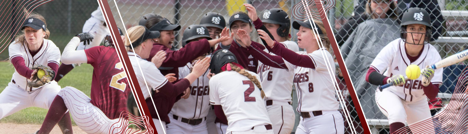 softball banner 2