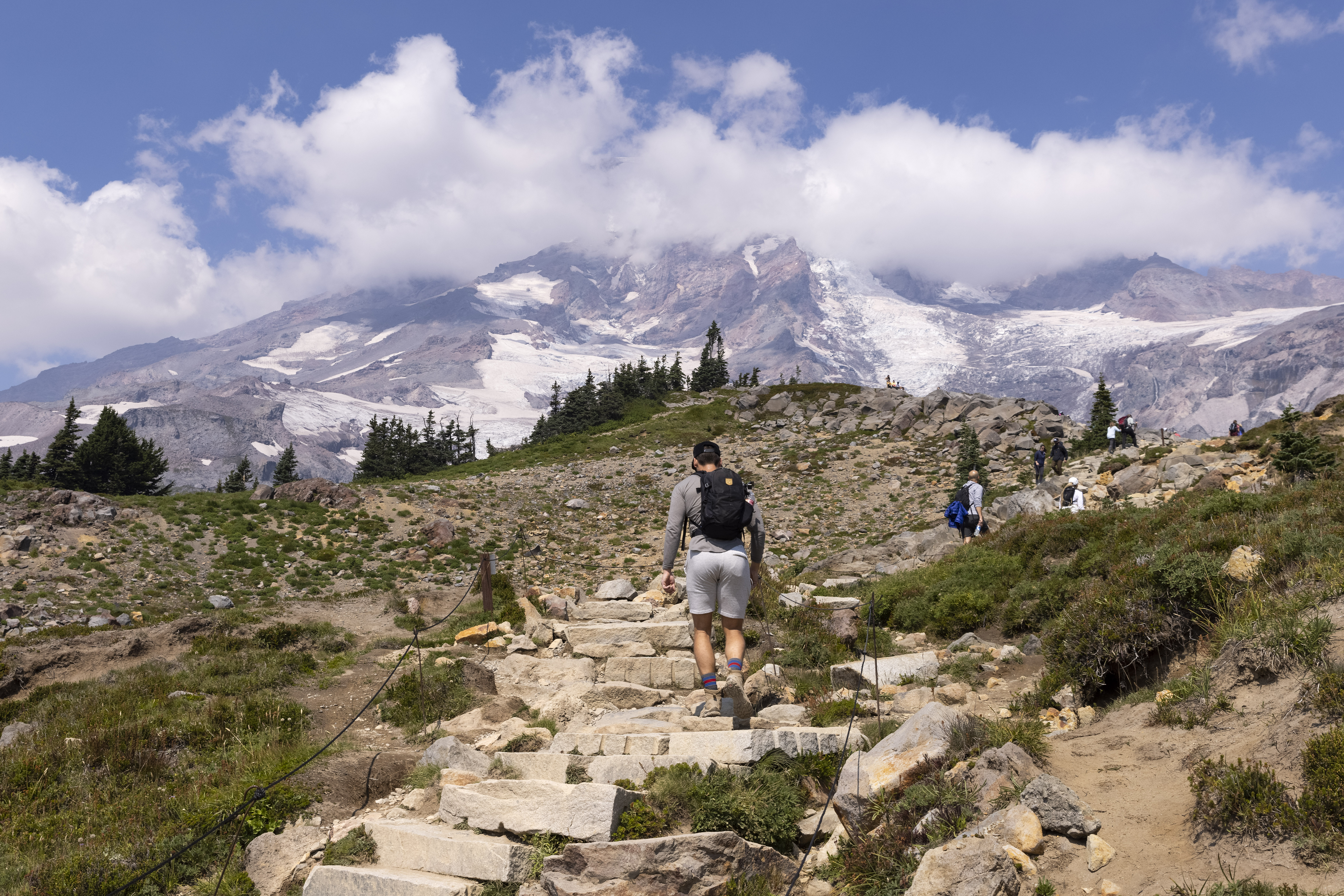 Students hiking near Mt. Rainier