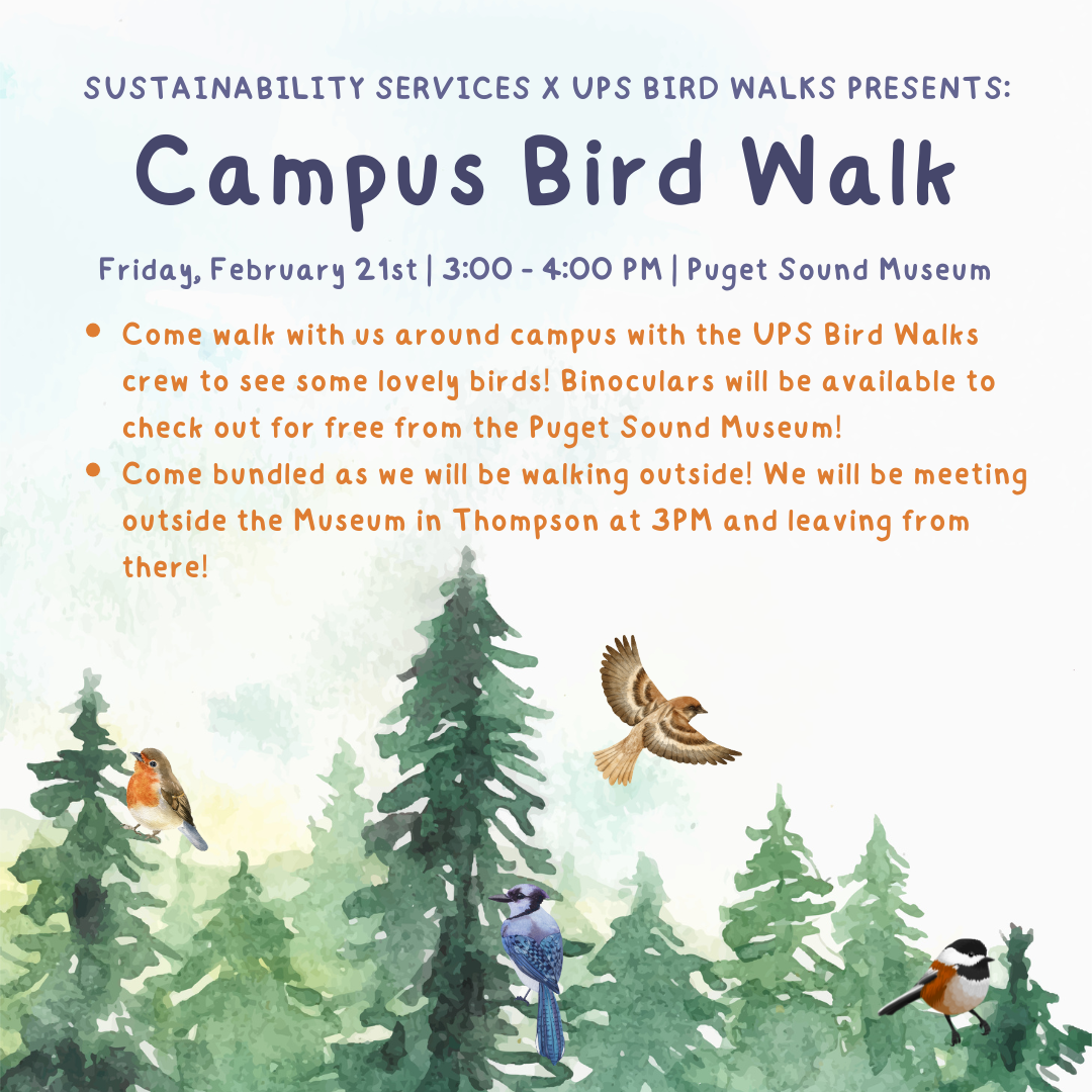bird walk
