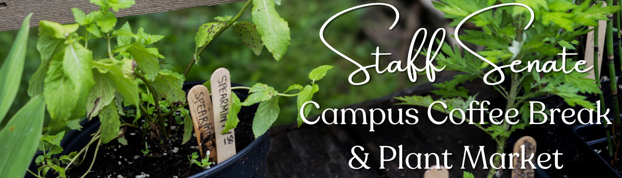 Campus Coffee Break and Plant Market